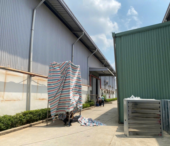 CÔNG TY TNHH TM DV PHÁT TRIỂN THỊNH VƯỢNG
